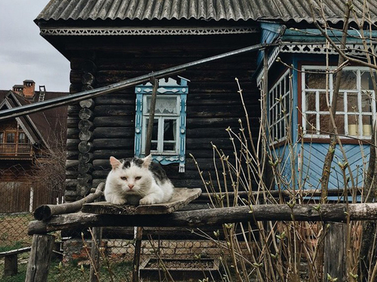 Это твоя родина, сынок: как создавалось самое популярное сообщество об окраинах и промзонах