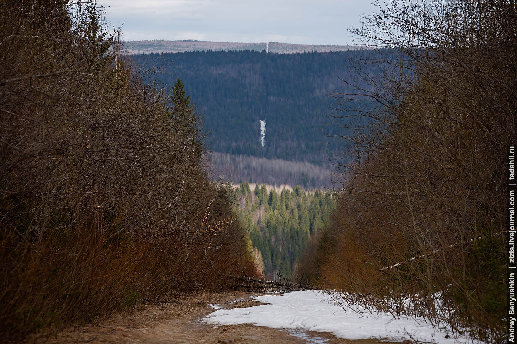 Басеги, Урал, http://zizis.livejournal.com