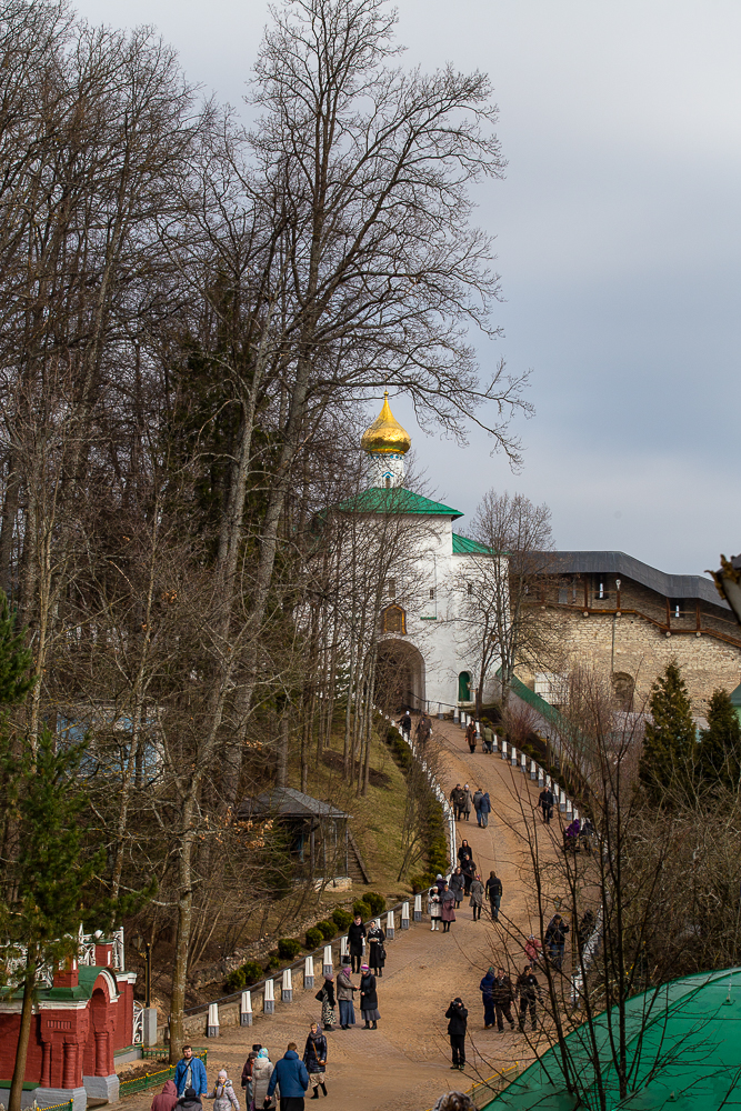 20150308-IMG_7420