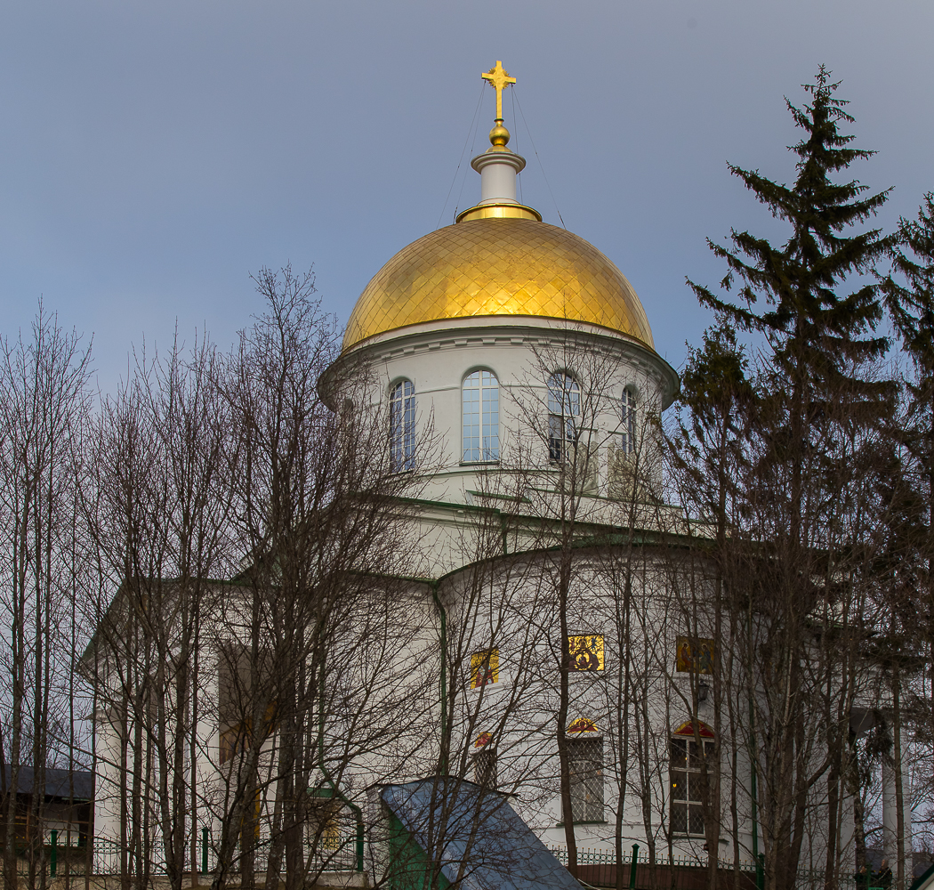 20150308-IMG_7421
