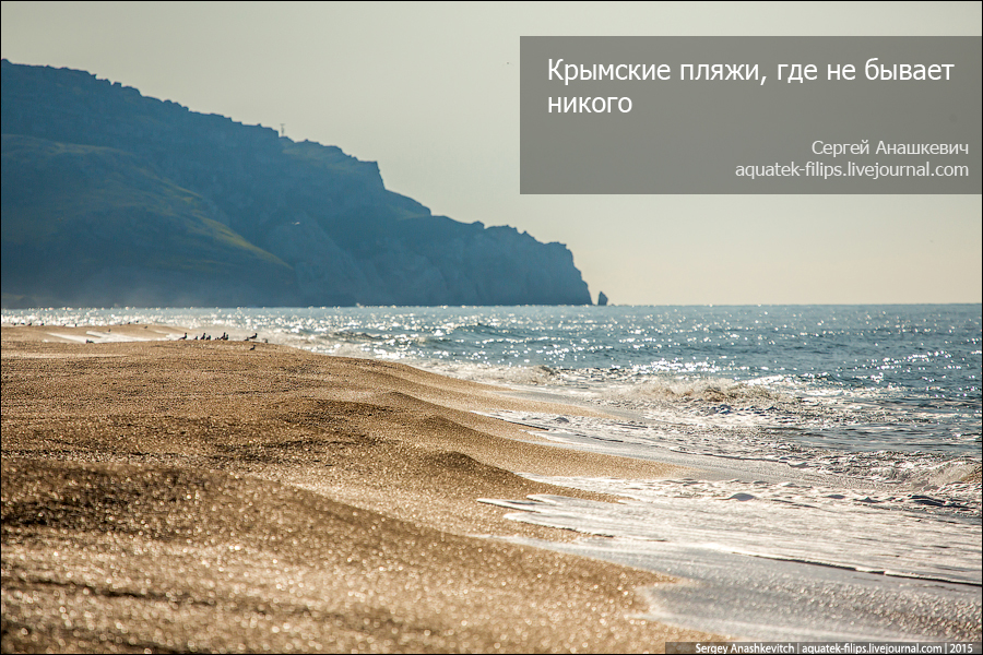 Дикое море Крыма