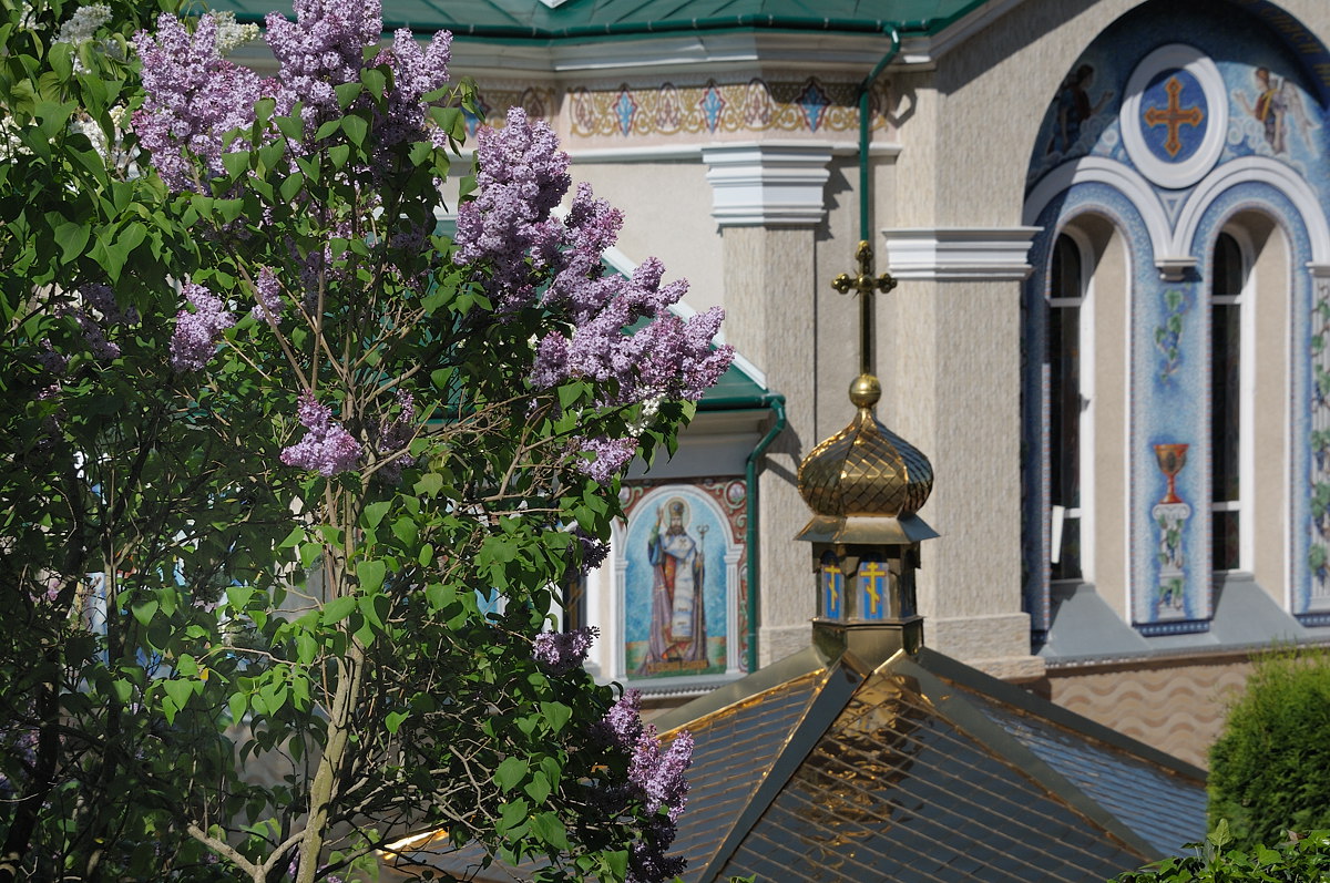 Чортков