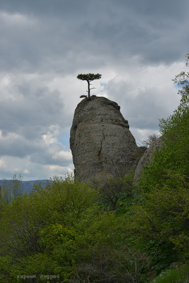 Крым. Демерджи.