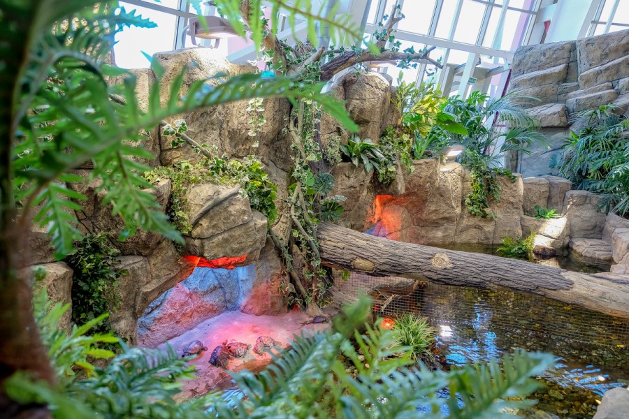 DSCF0266
