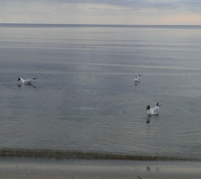 jurmala1