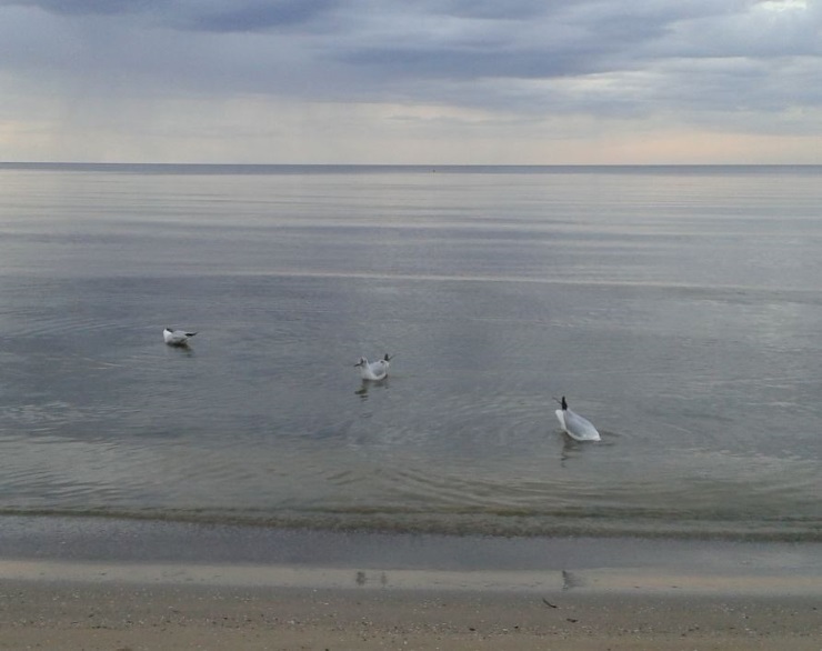 jurmala2