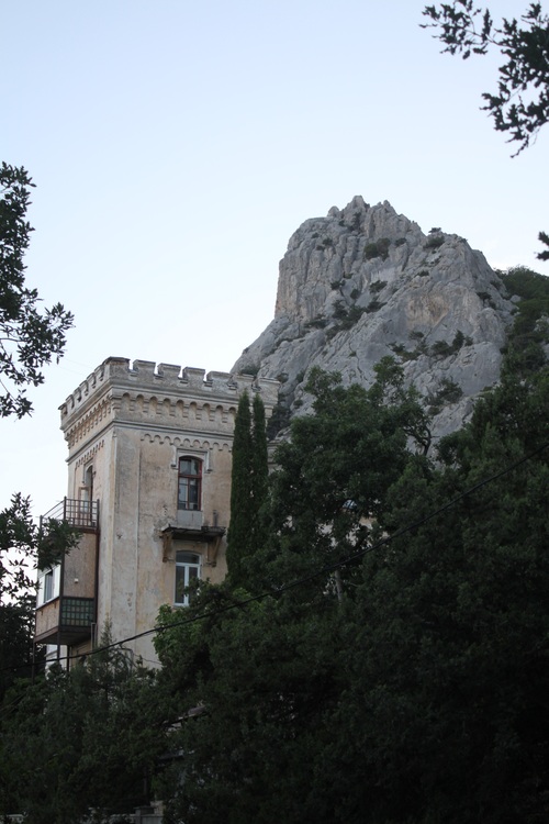 4231.jpg