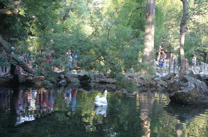 4225.jpg