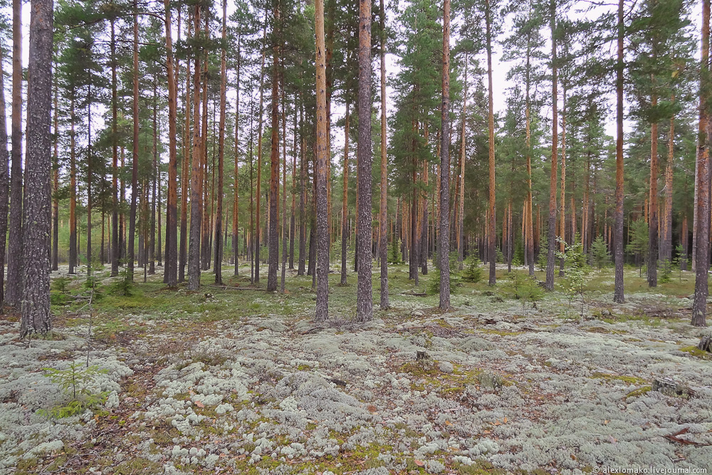 004_Ustyuzhna_022
