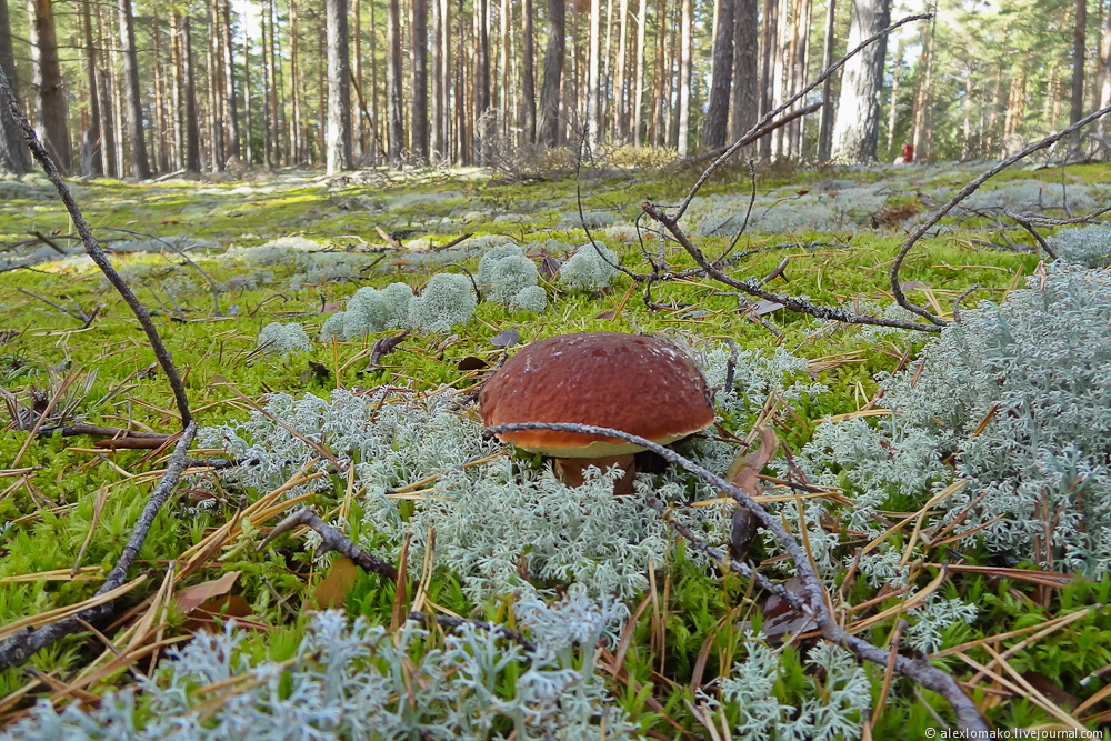 004_Ustyuzhna_024