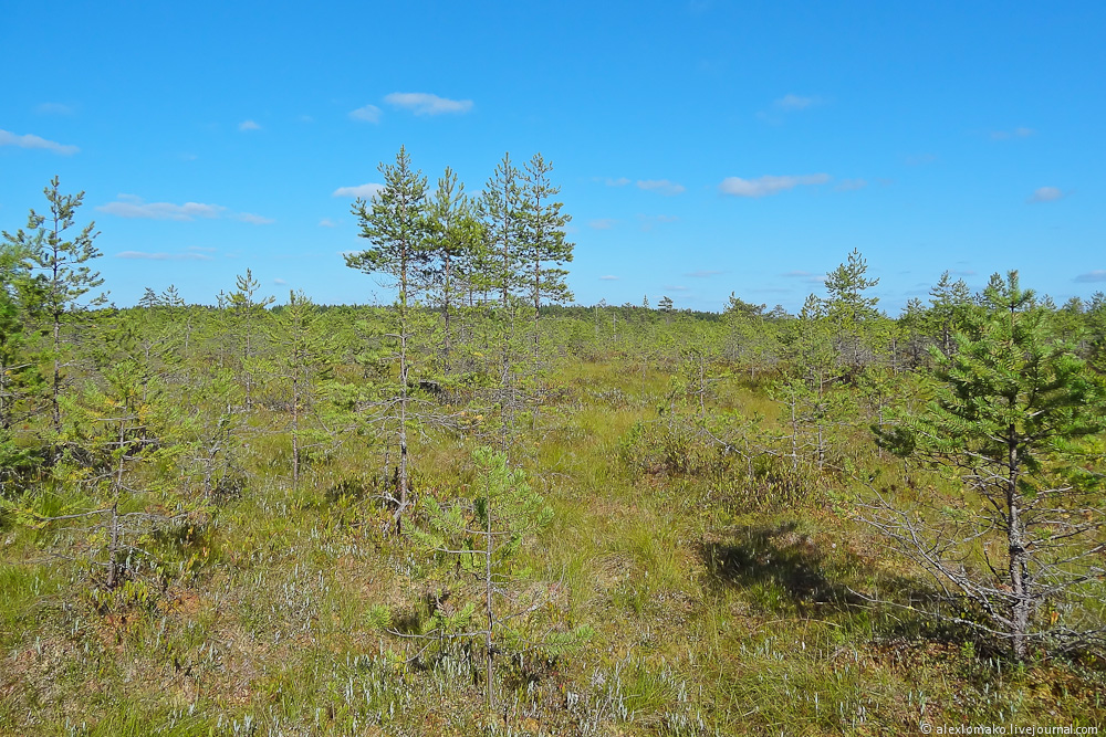 004_Ustyuzhna_026