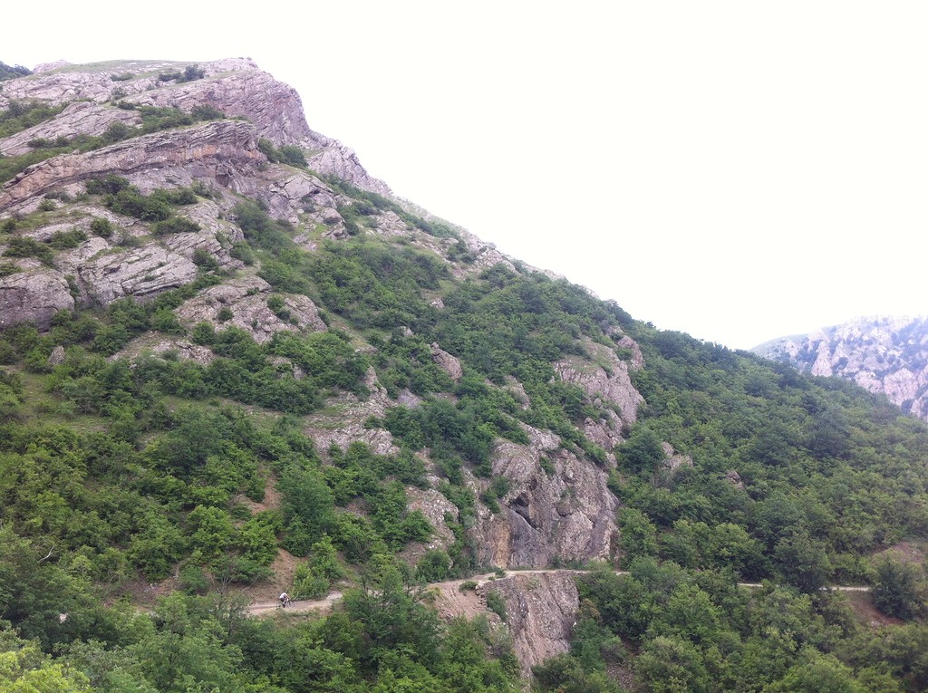 IMG_7722.JPG