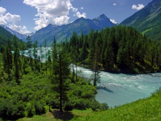 Алтайский край