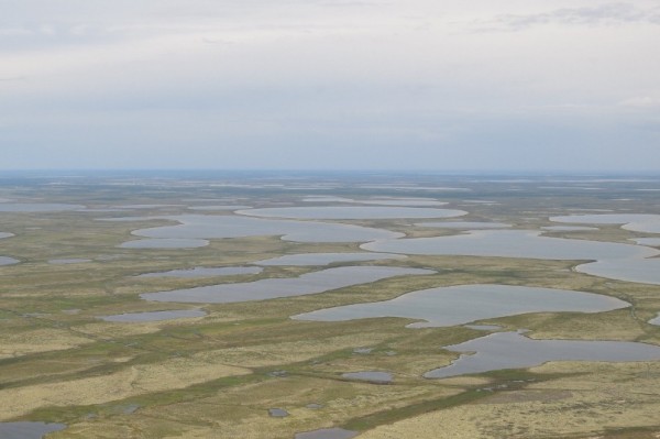 Вода 1