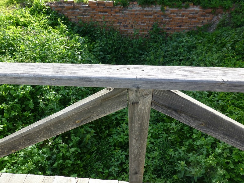 L1140574.JPG