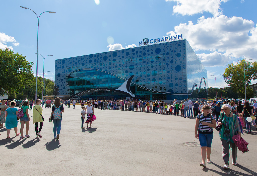 Москвариум-1.jpg