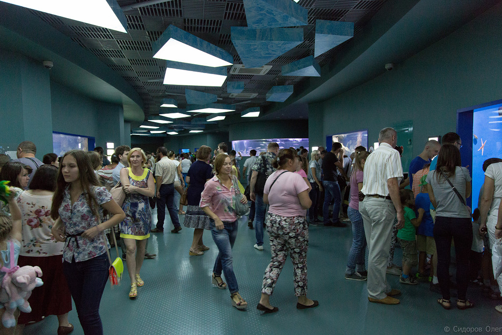 Москвариум-12.jpg