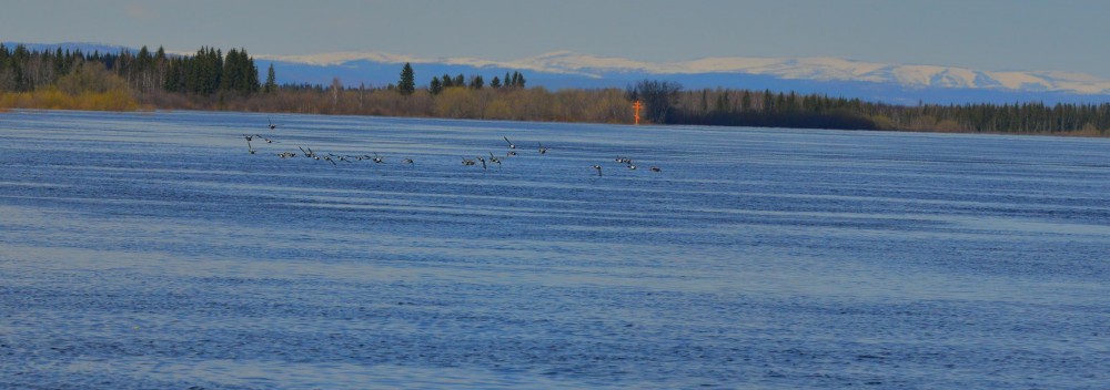 DSC_3037_2420x853