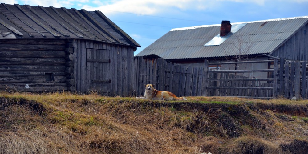 DSC_3176_2420x1210