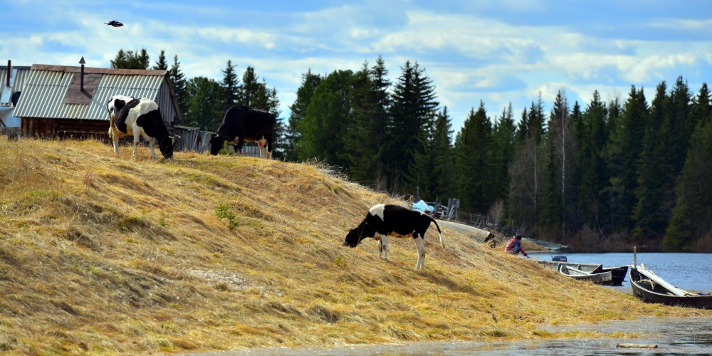 DSC_3180_2420x1210