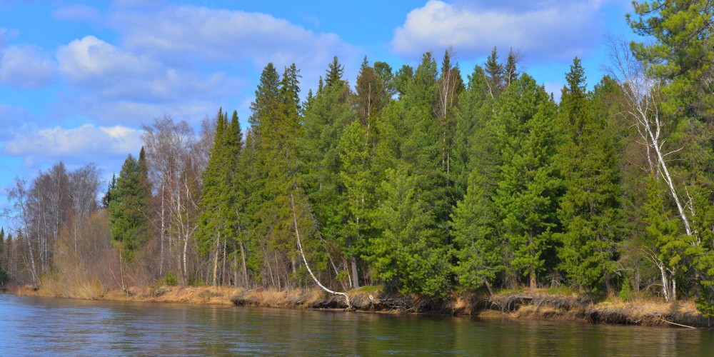 DSC_3219_2420x1210