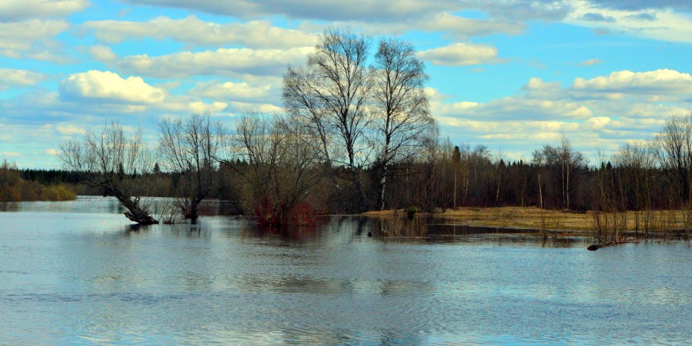 DSC_3298_2420x1210