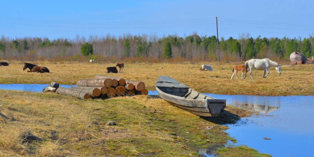 DSC_3333_2420x1210