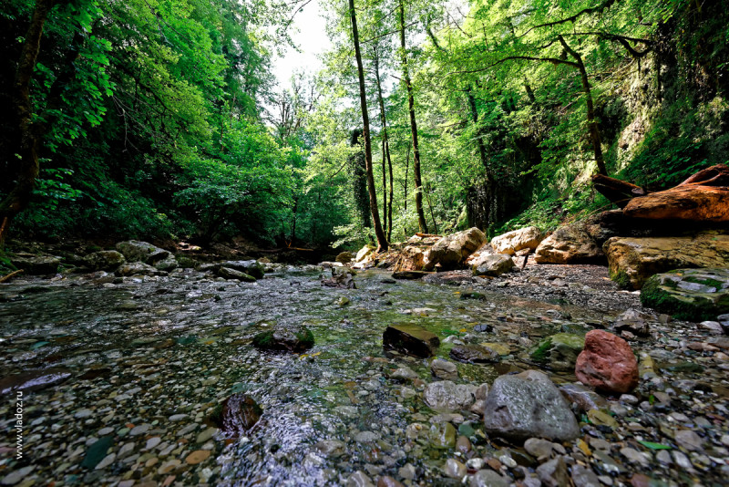 The bed of a mountain river in the forest. Psaho river, Sochi, Russia.