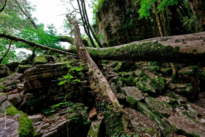 Tectonic breaks and folds of dry canyon in caucasus mountains. Sochi, Russia.