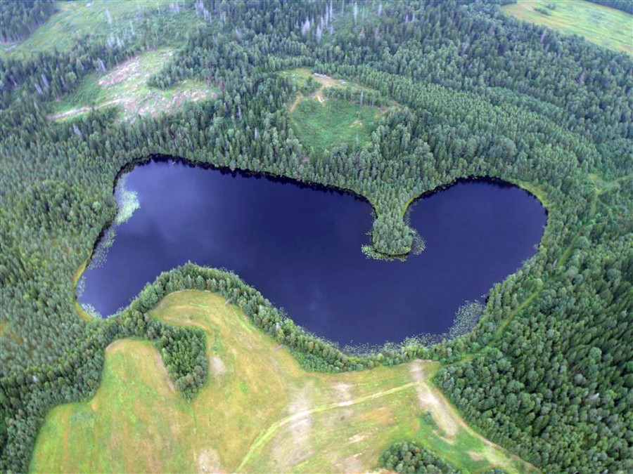 Бросно