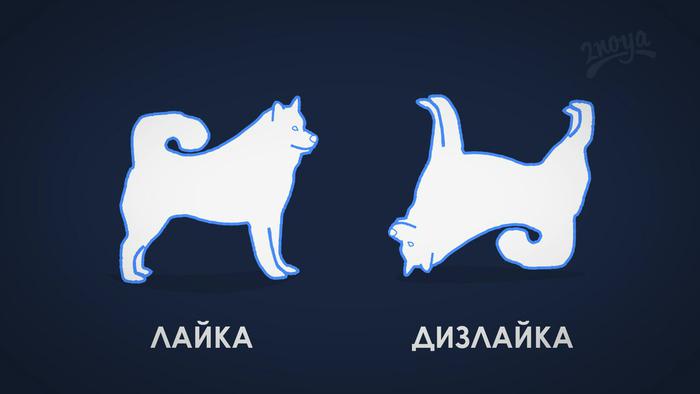 Больше всего потенциальных «дислайков» вызовут статьи о фитнесе и спорте