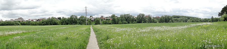 48.jpg