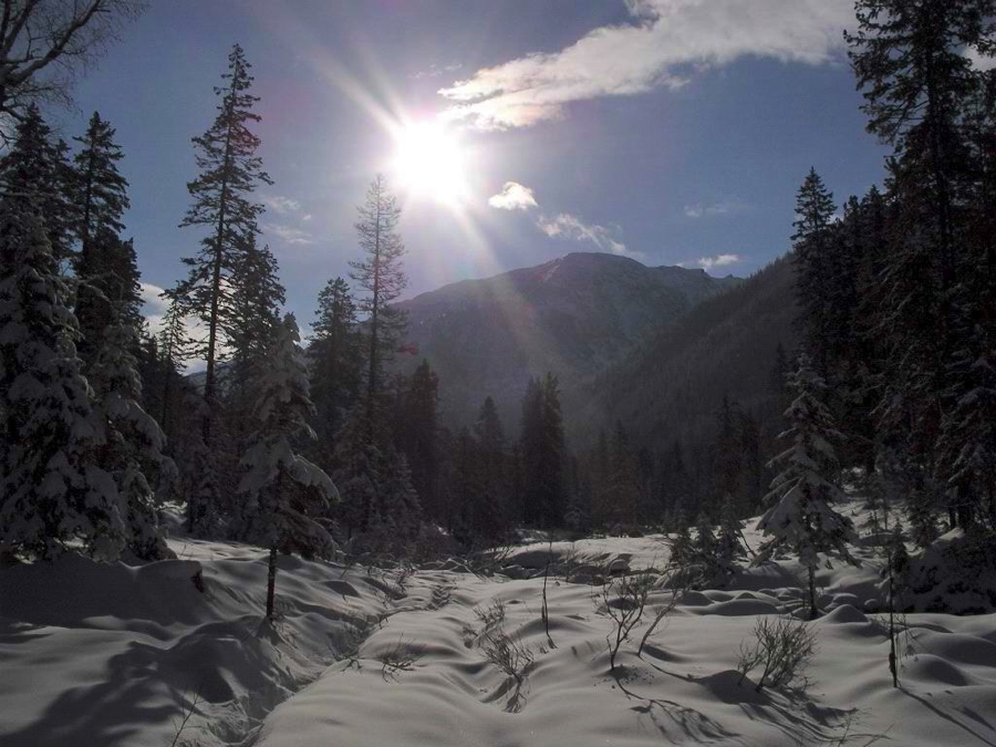 Мамай фото