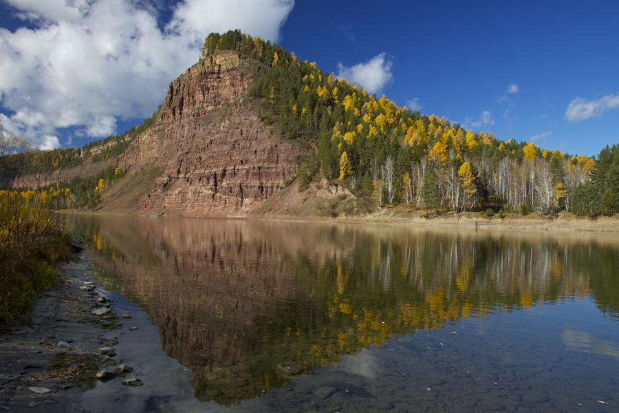 шаманка