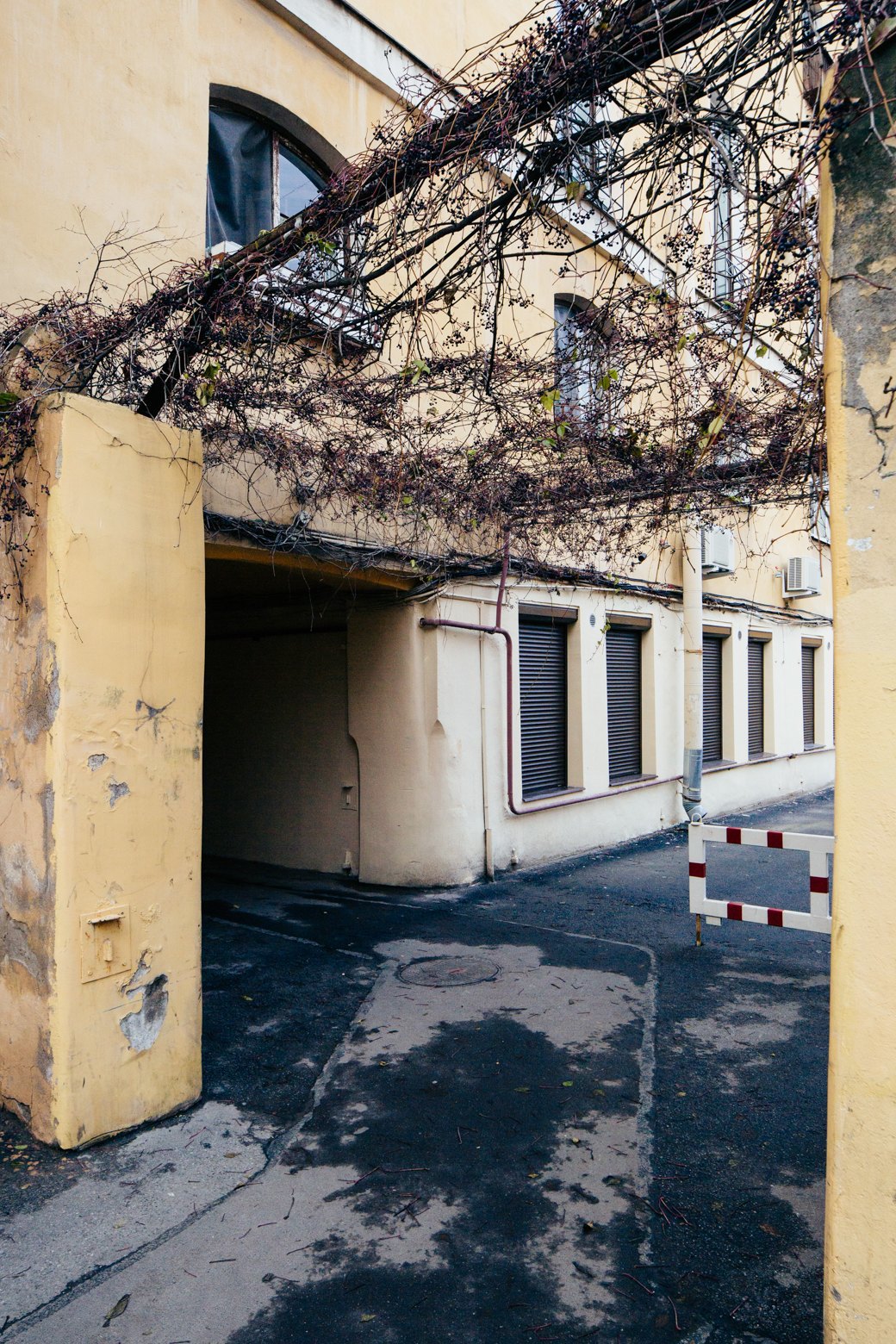 Самые удивительные дворы Петербурга. Изображение № 23.