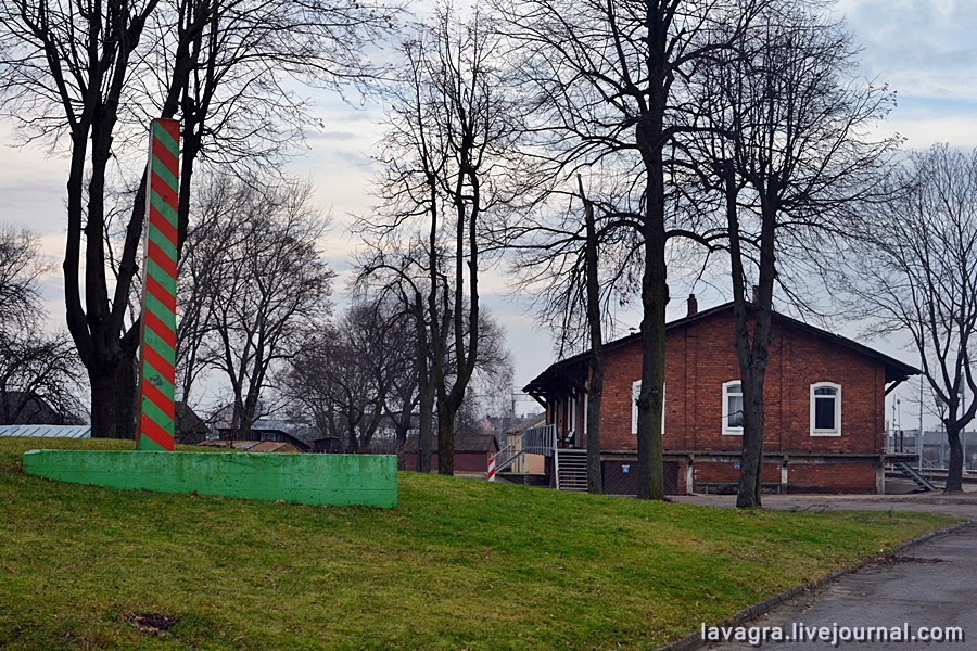 dzukija23