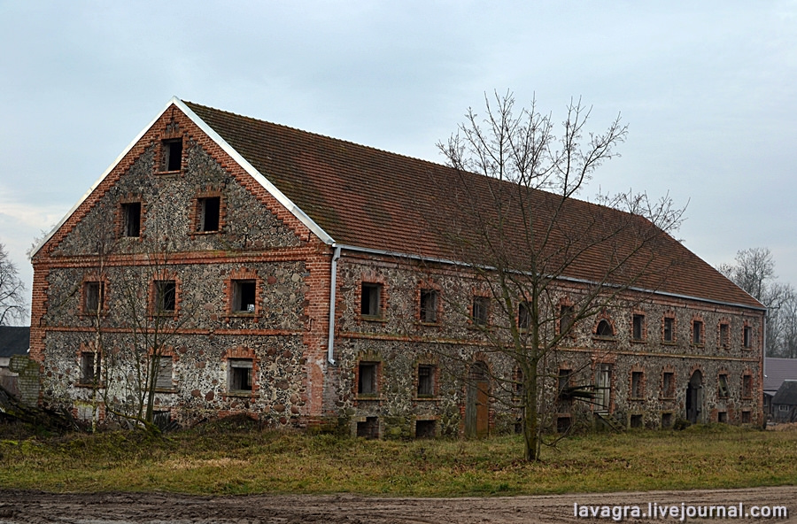 dzukija11