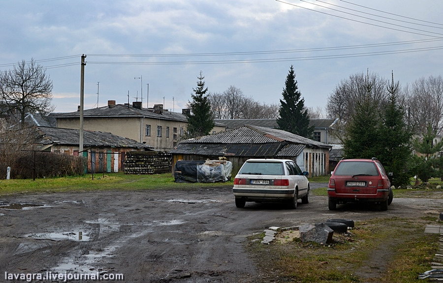 dzukija27