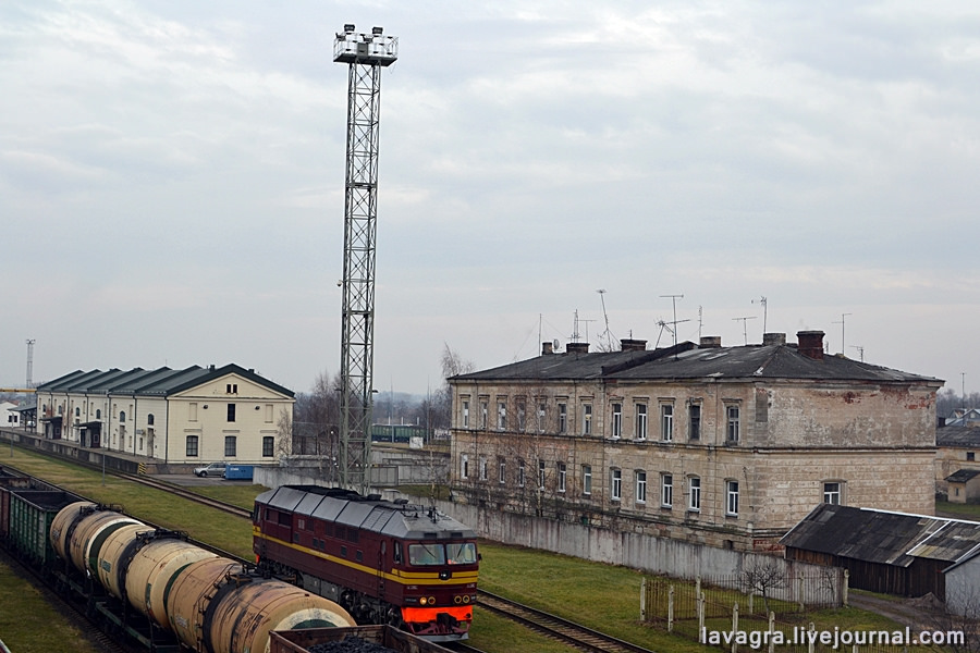 dzukija29