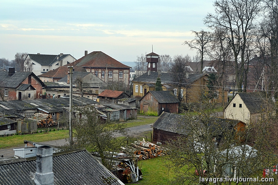 dzukija24