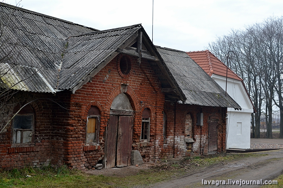 dzukija22