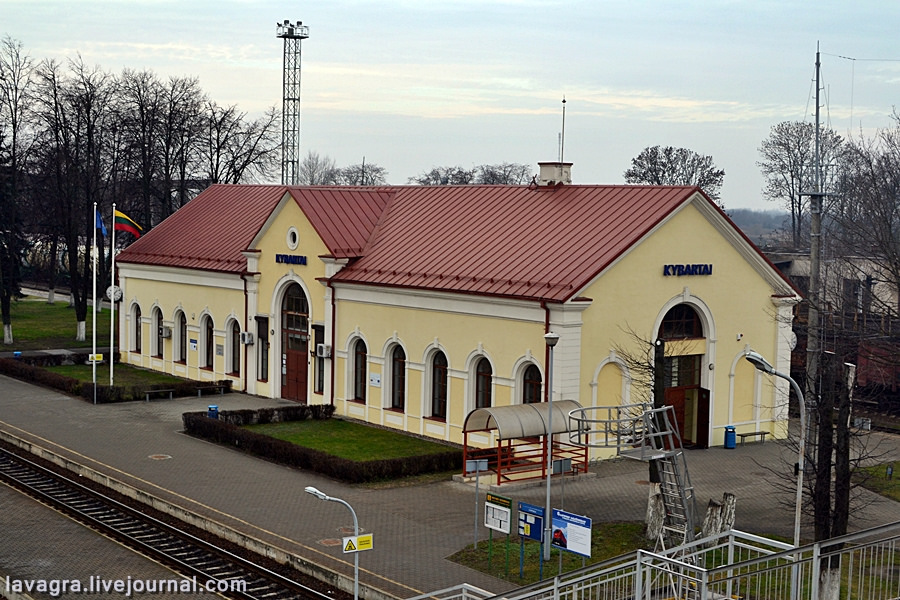 dzukija26