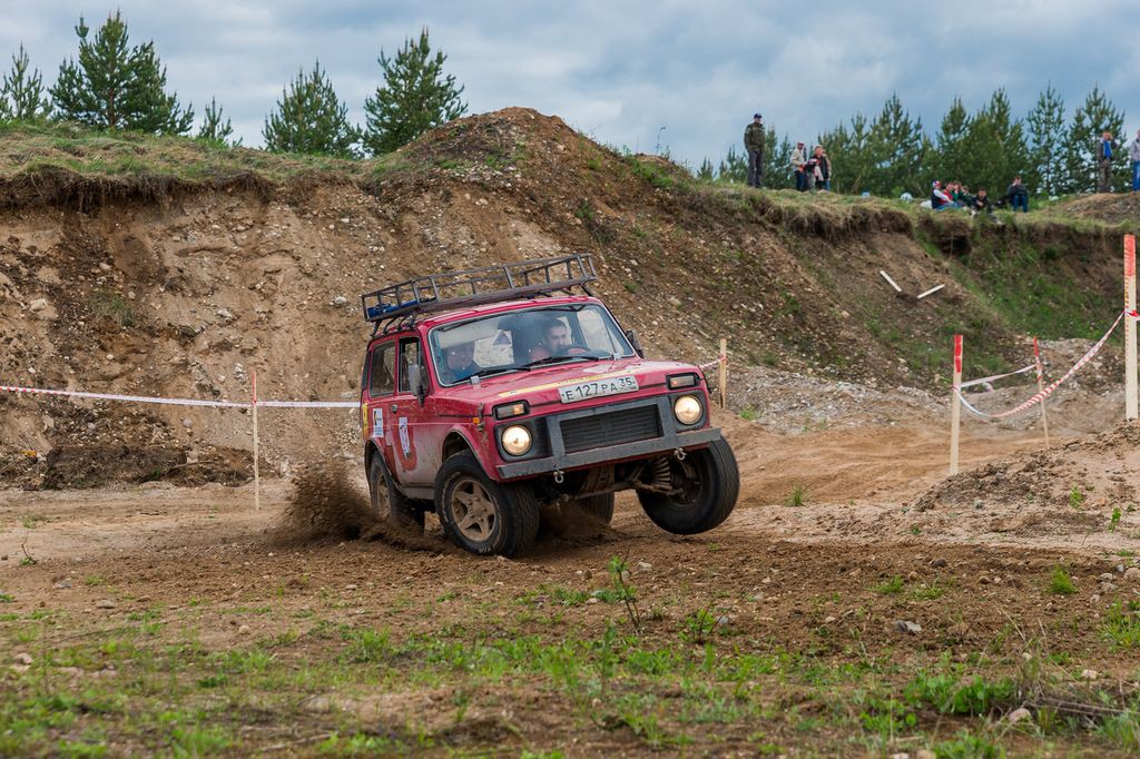 MG115897