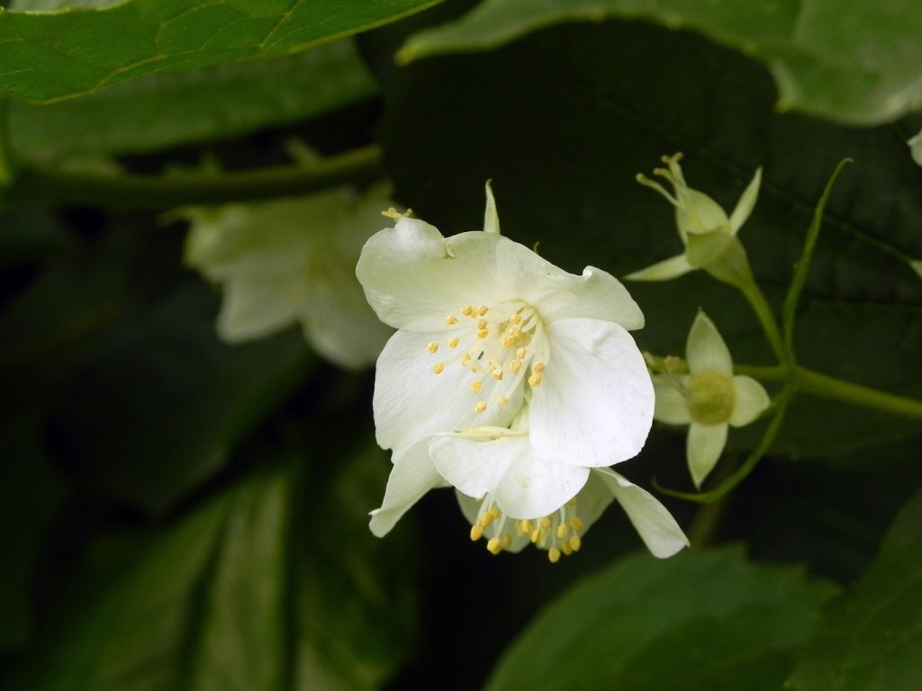 DSCN3491_1