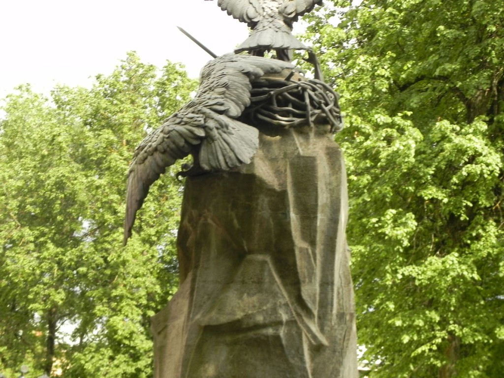 DSCN3544