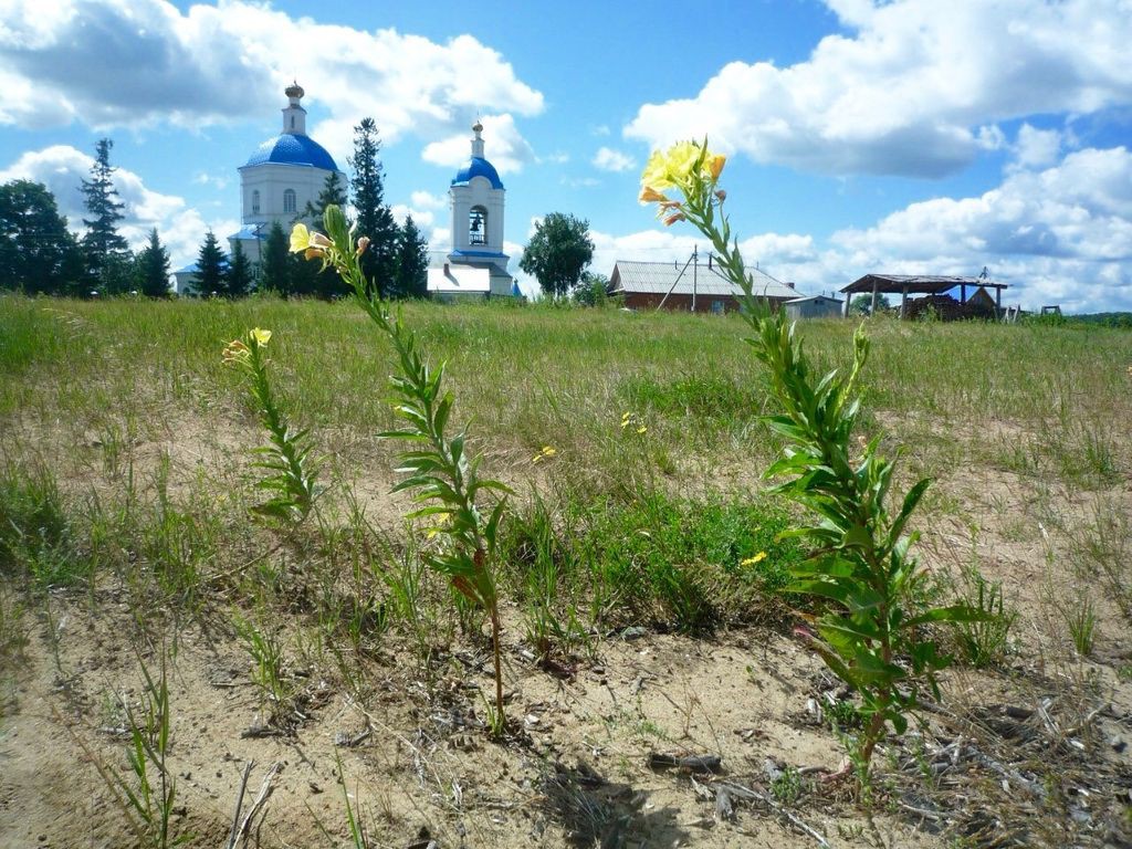 IMG_8040