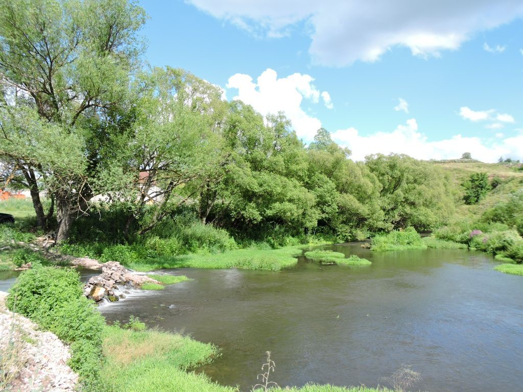 DSCN8706