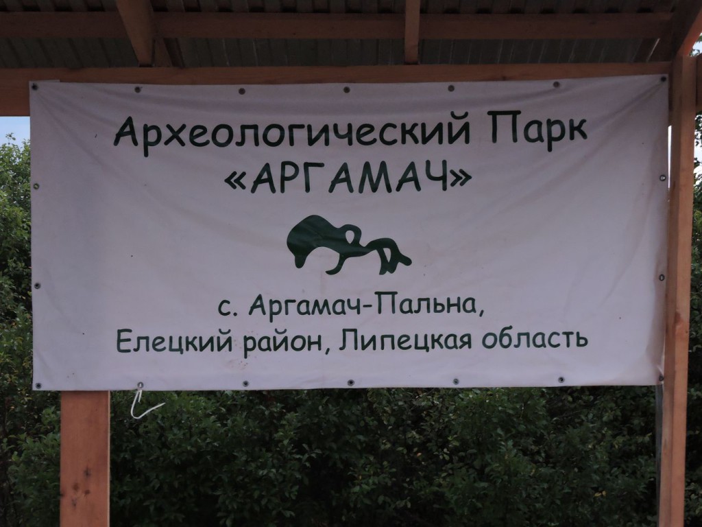DSCN8791