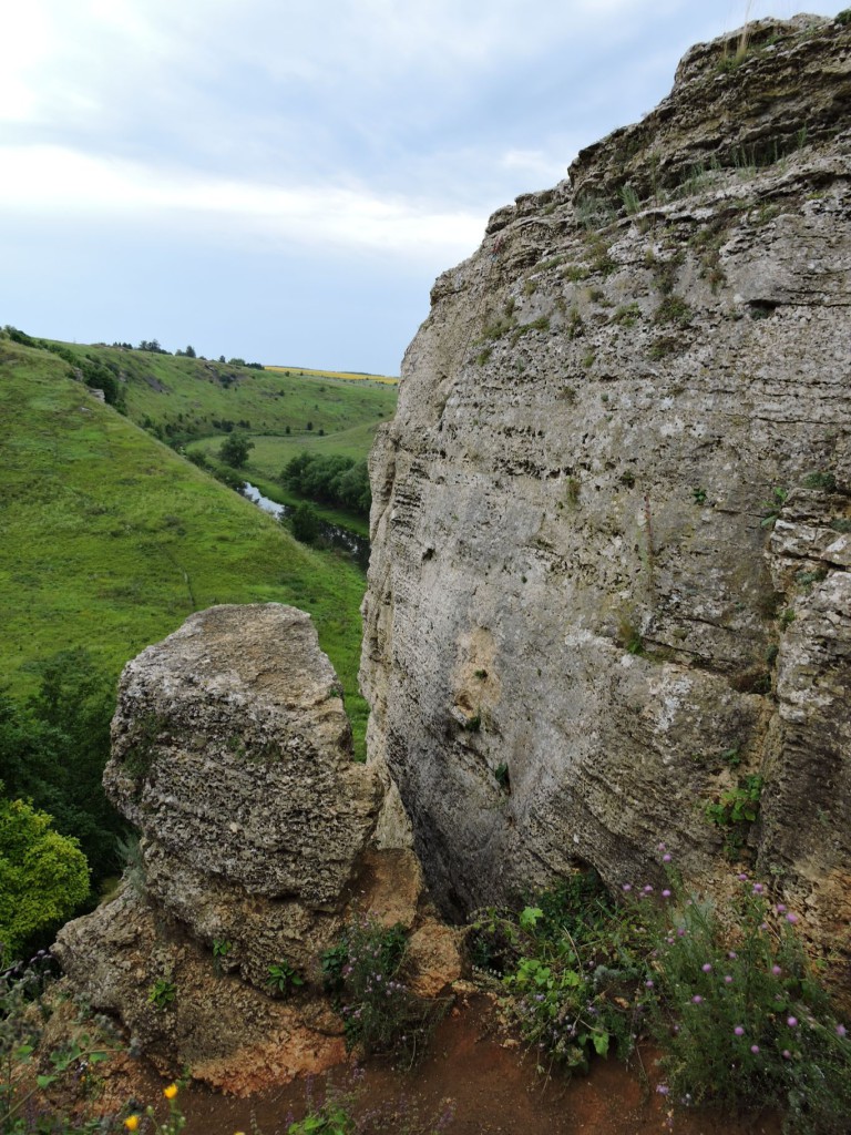DSCN8887