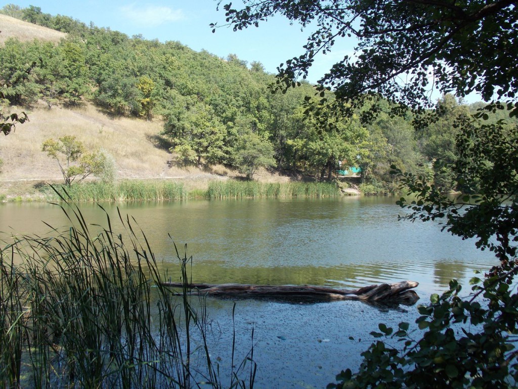 DSCN1319